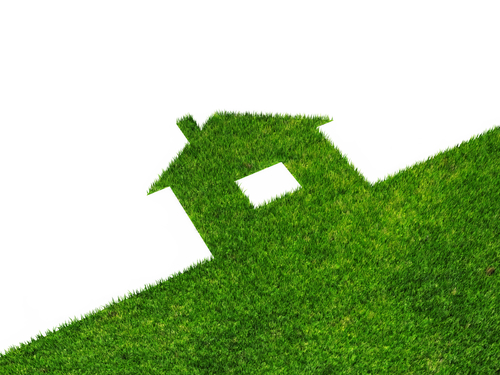 energy efficient home grass