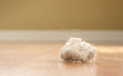 Keep Household Dust to a Minimum and Watch Your IAQ Improve