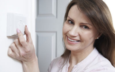 3 Exciting Thermostat Options