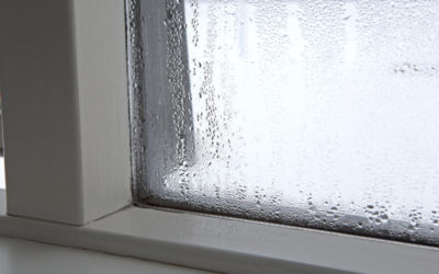 5 Tips to Decrease Humidity Levels in Your Home
