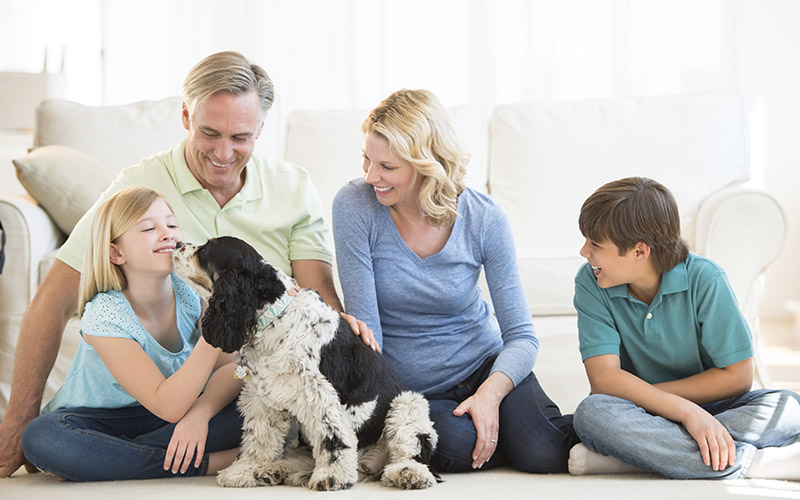 family saving energy keeping cool